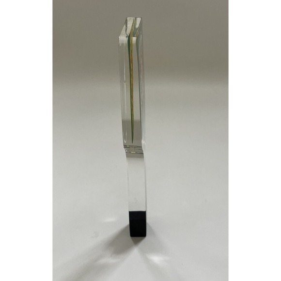 Lost Coast Brewery Great White ACRYLIC Beer Tap‎ 10" SHARK Eureka, CA - Picture 2 of 12